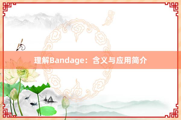 理解Bandage：含义与应用简介